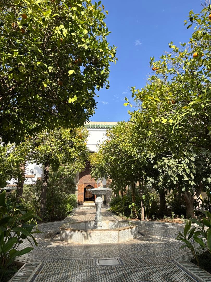 【新品・箱入り】Bacha Coffee バシャ　キャニスター　ロイヤルブルー