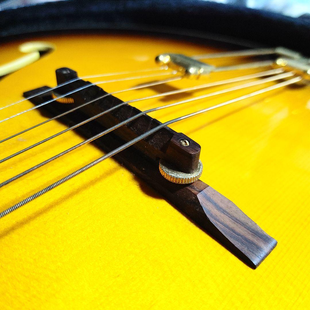 Epiphone Emperor AS Regent 2005年購入