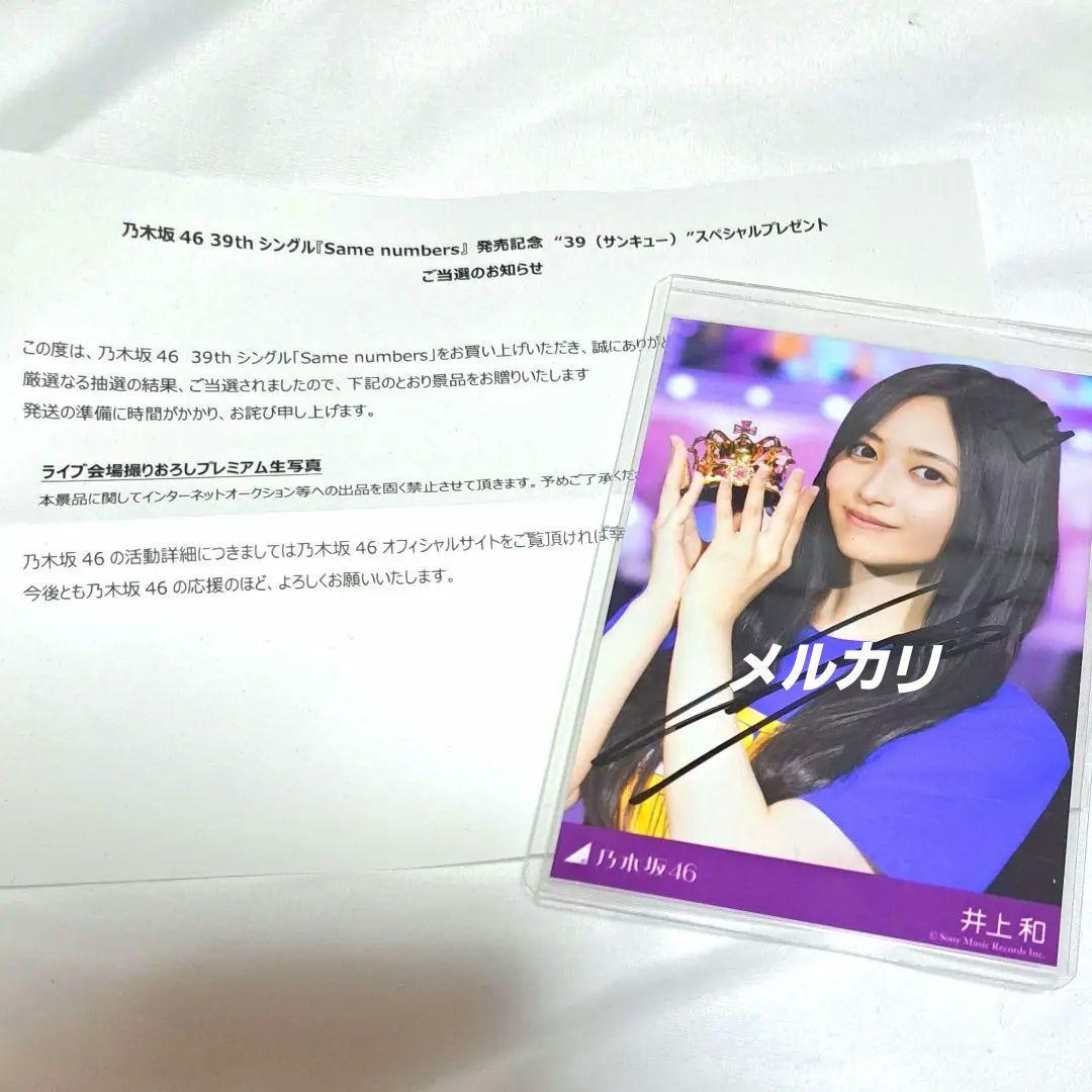 乃木坂46 井上和 プレミアム生写真 samenumbers 直筆サイン