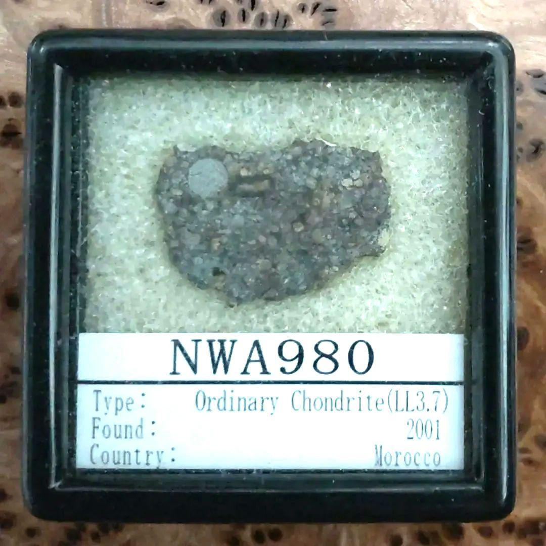 コンドリュールが綺麗な、NWA980隕石標本