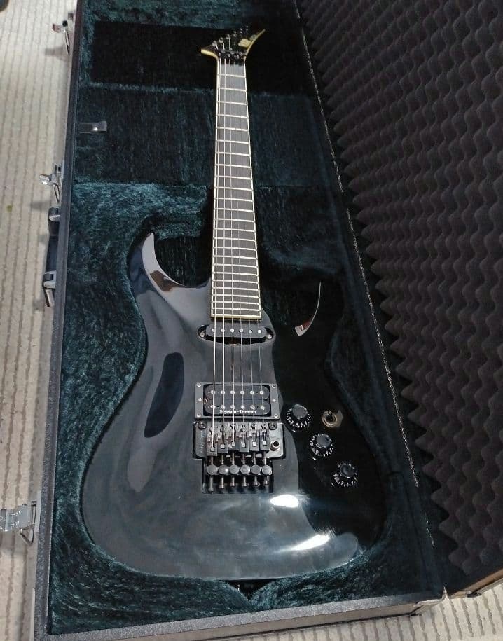 ESP HORIZON ホライズン　セイモアダンカン