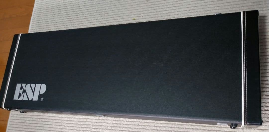 ESP HORIZON ホライズン　セイモアダンカン