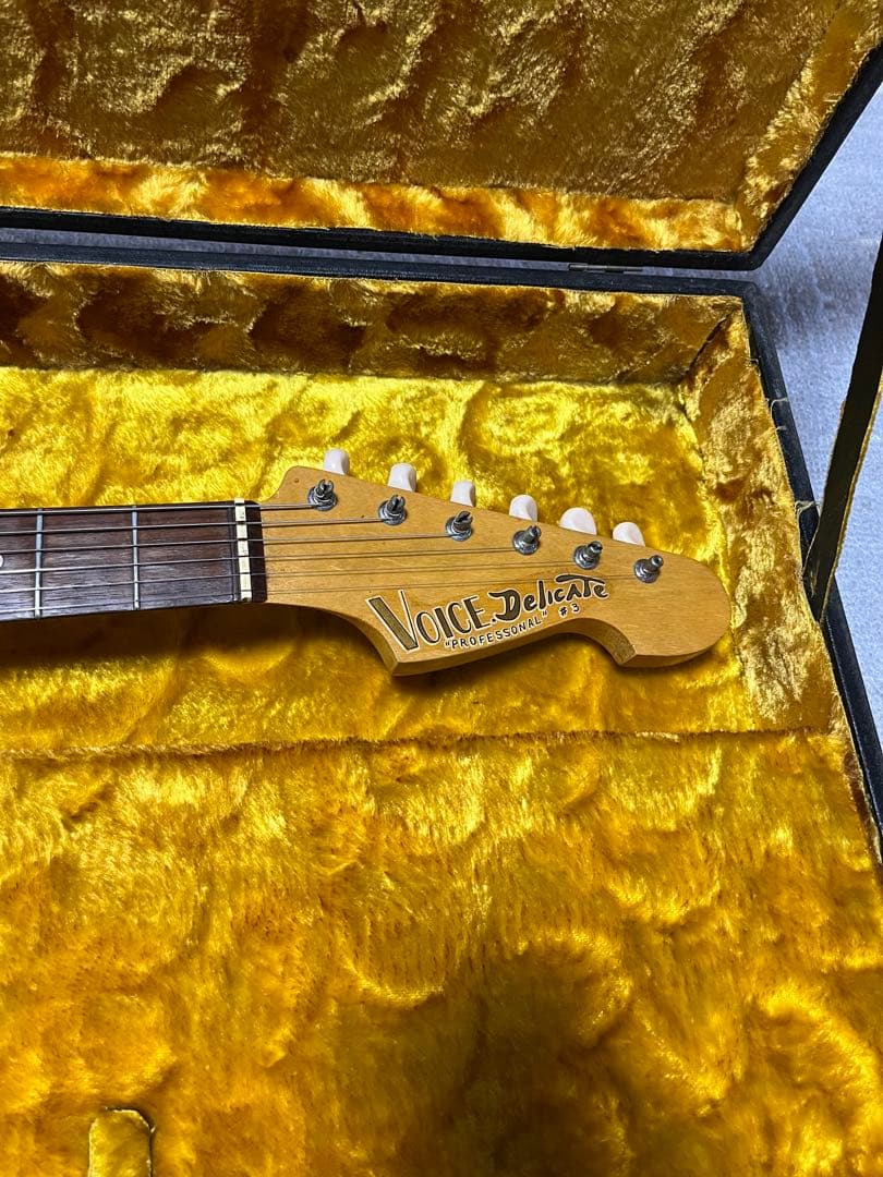 【希少】VOICE DELICATE PROFESSONAL #3 エレキギター