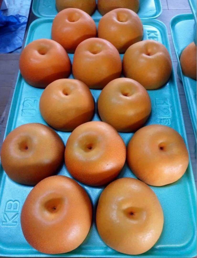 プロフ確認nijiあろろん&はろろん　10キロ　豊水梨