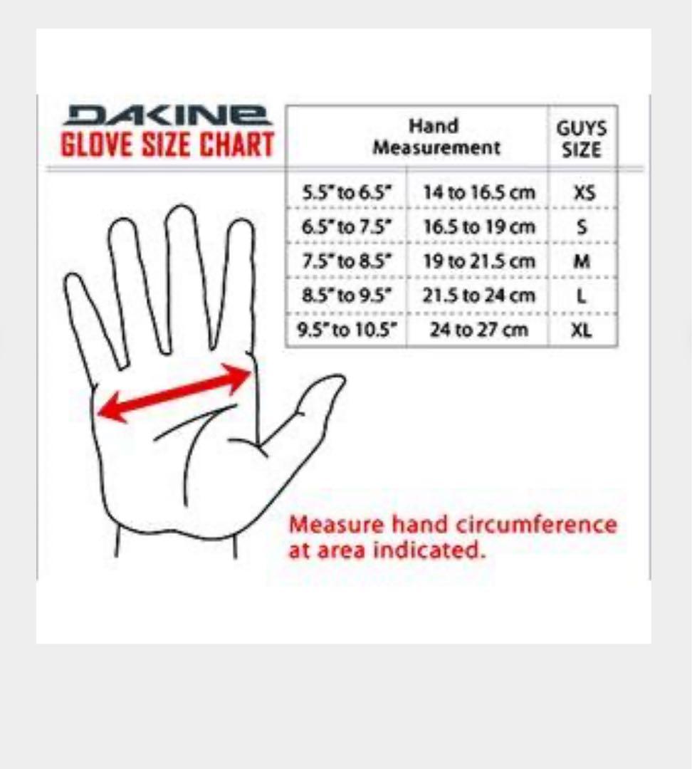 新品 DAKINE Titan Gore-Tex ゴアテックス Lサイズ RUB