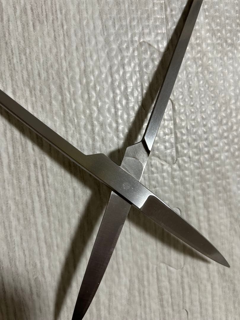 ADA プロシザース・ヌード