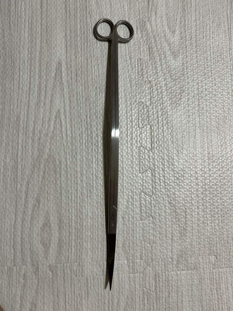 ADA プロシザース・ヌード