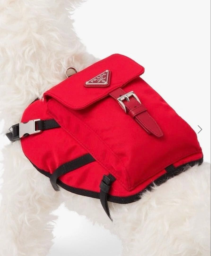 おさかなページ ペット用リュック、リードセット