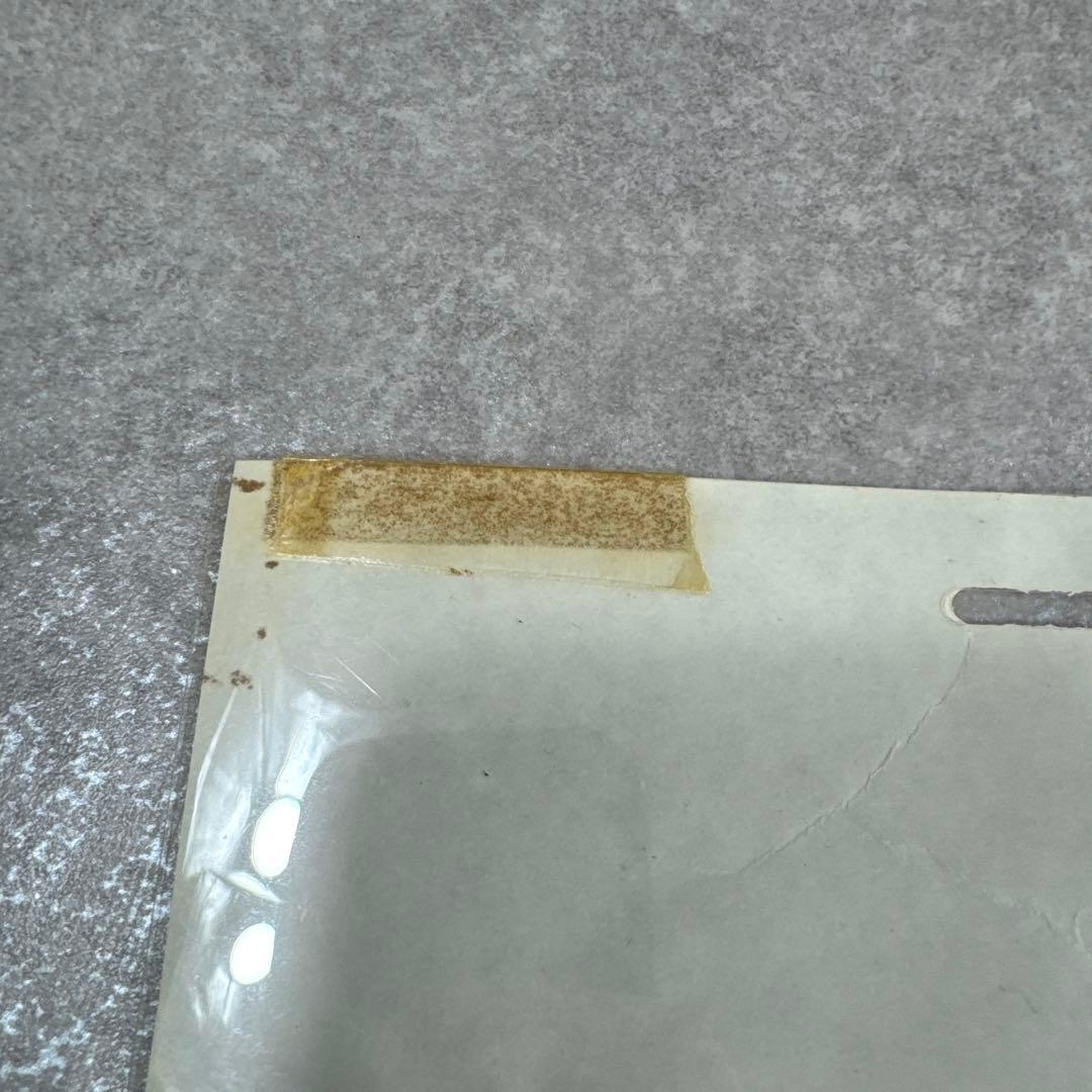 希少 おもひでぽろぽろ カットシーン セル画 C9 スタジオジブリ