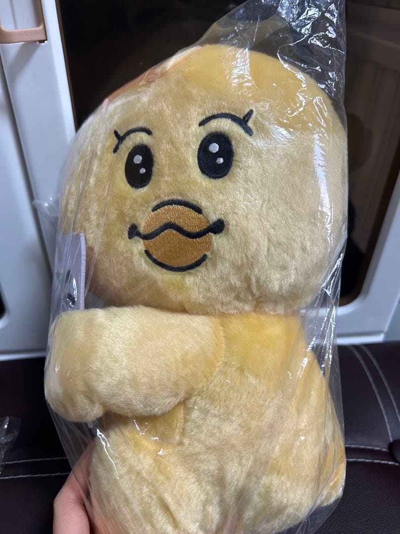 んぽちゃむ　きみまろ　勝訴　マカロン法律事務所　BIGぬいぐるみセット