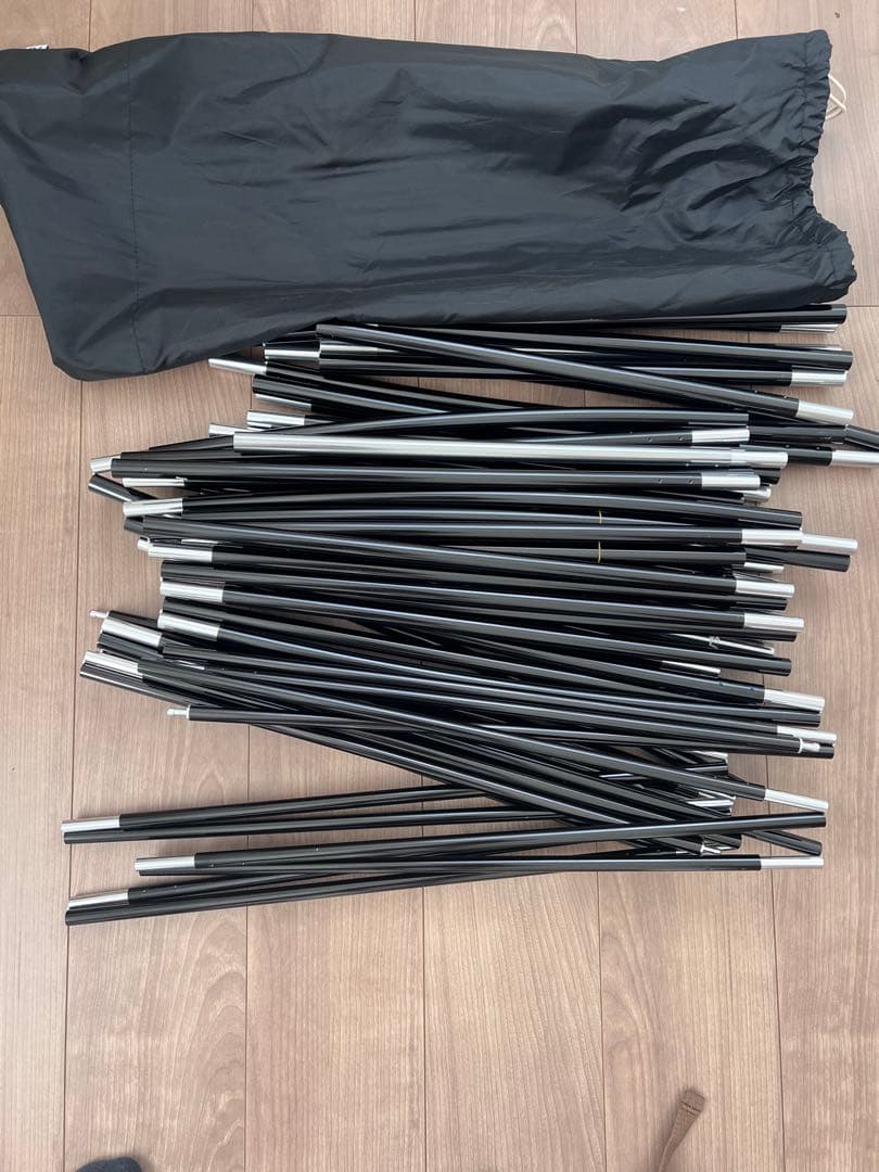 サバティカル　アルニカ