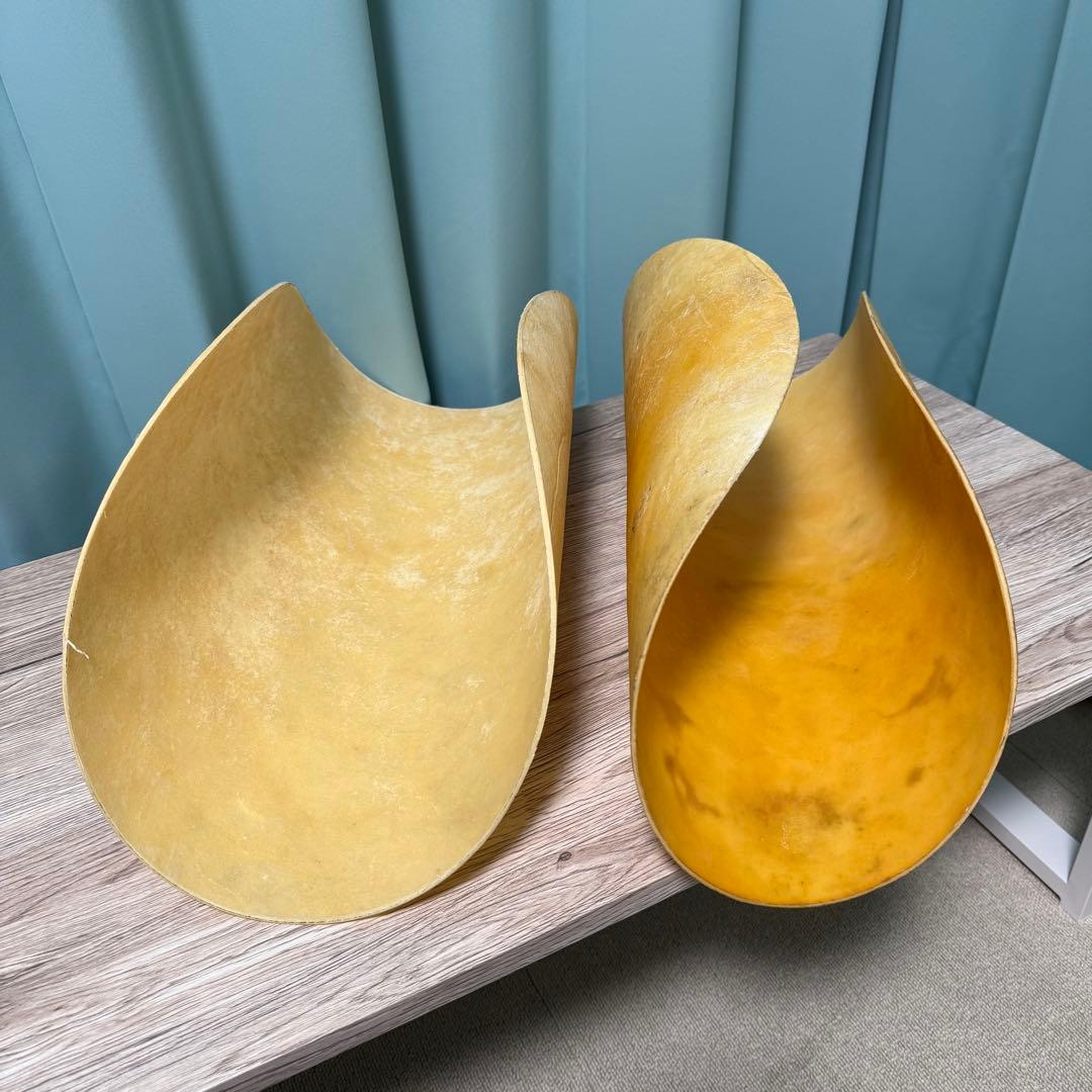 コンガヘッド キューバ製 2枚セット 牛革