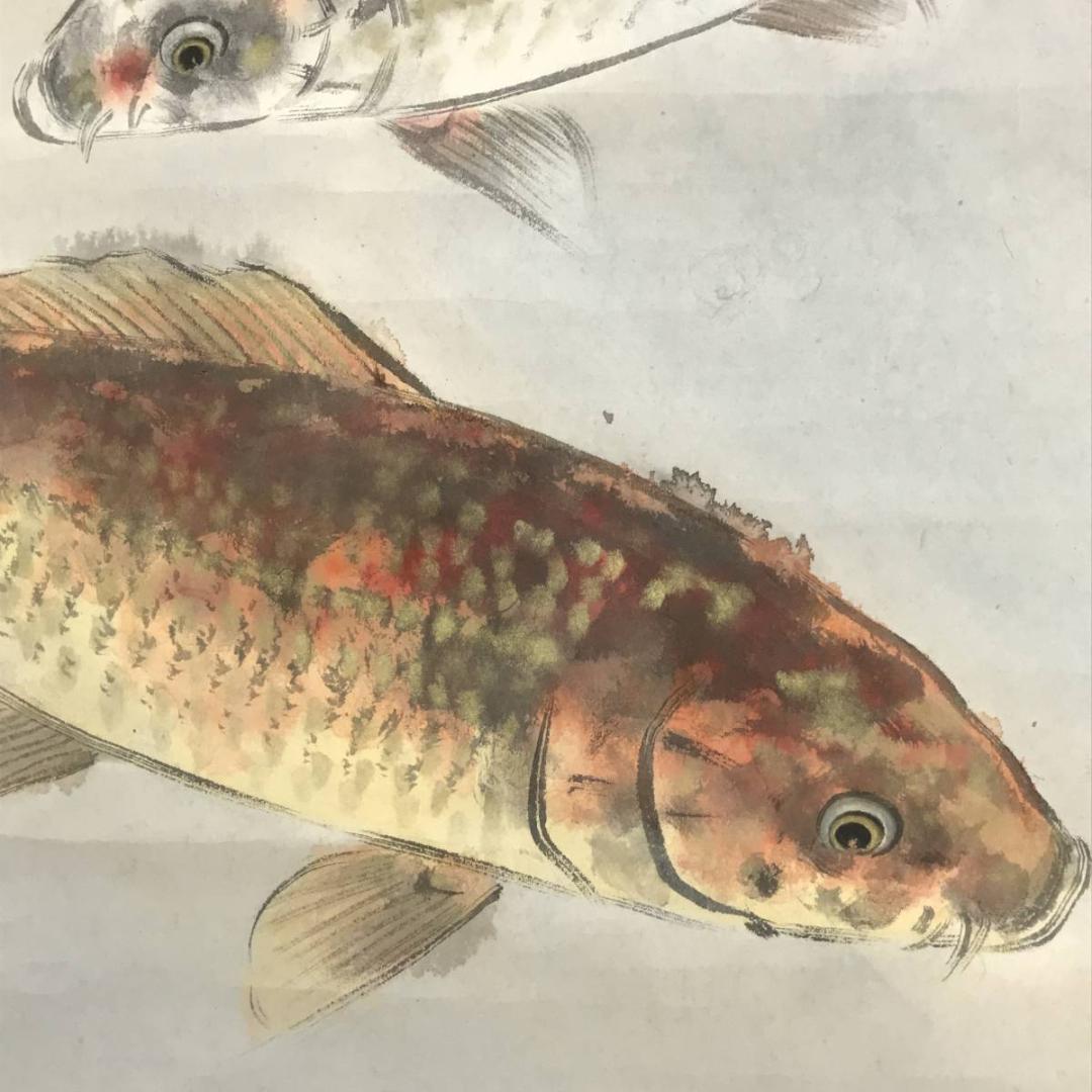 【真作】東原方僊/錦鯉図/鯉図/コイ図/横物/遊鯉図/掛軸☆宝船☆AD-588