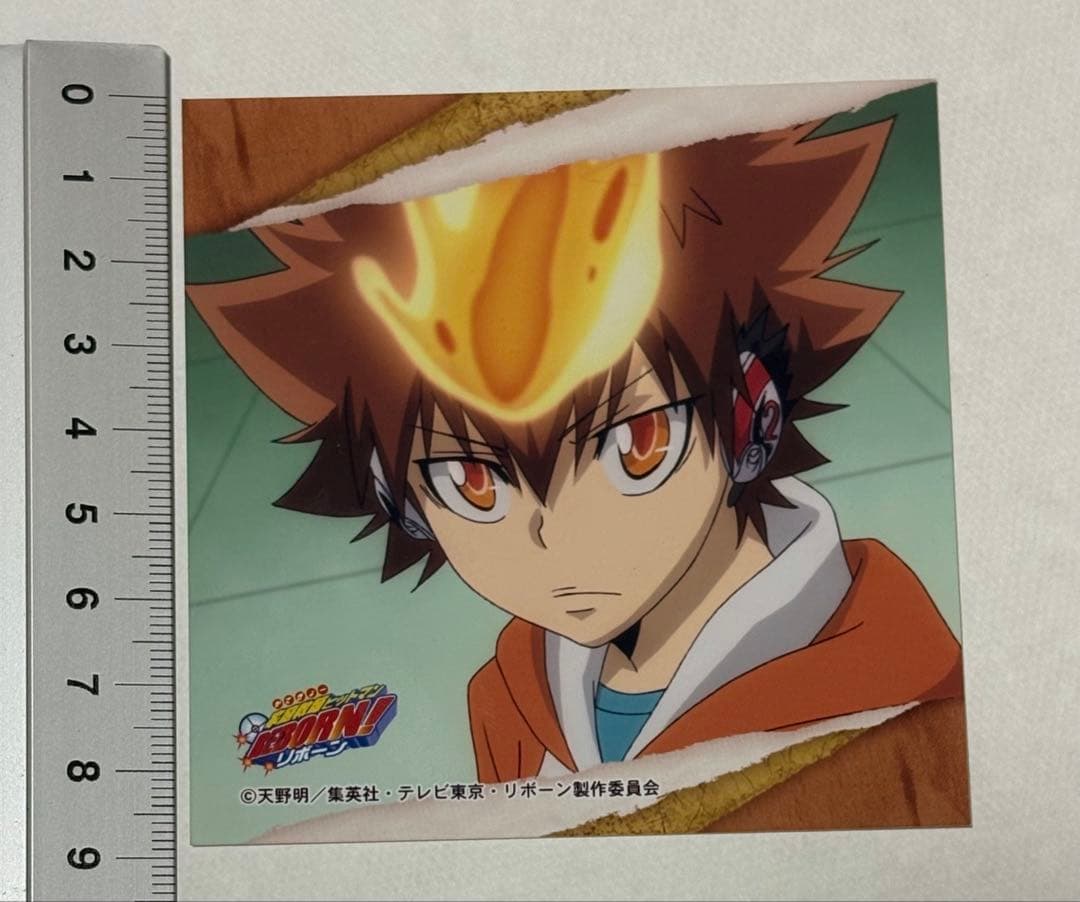 家庭教師ヒットマンREBORN！ カード 沢田