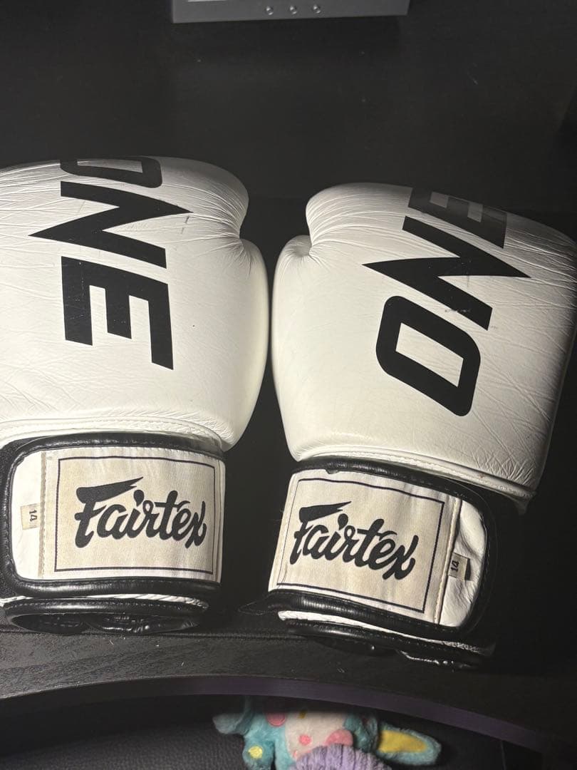 Fairtex ONE グローブ 14oz ※プロフィール必読クッキー