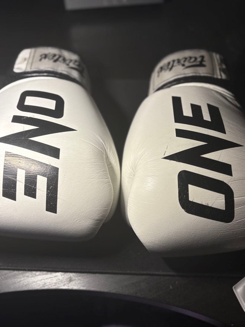 Fairtex ONE グローブ 14oz ※プロフィール必読クッキー