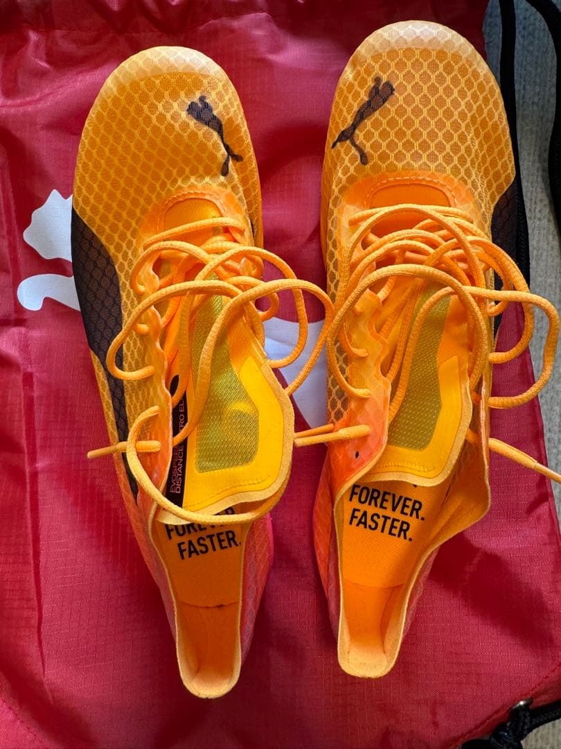 スパイク・シューズ EVOSPEED DISTANCE NITRO ELITE+