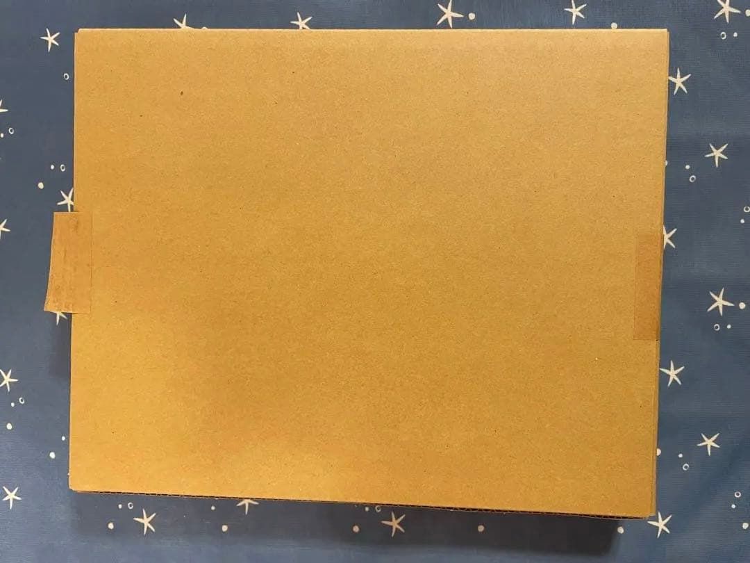 魔法少女まどか☆マギカ 佐倉杏子 キャンバスアート