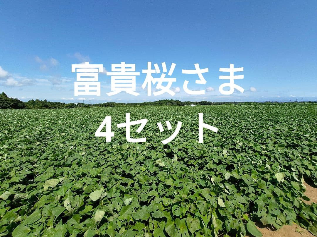 ★1.富貴桜さま専用干し芋 国産 紅はるか 切り落とし800g×4セット