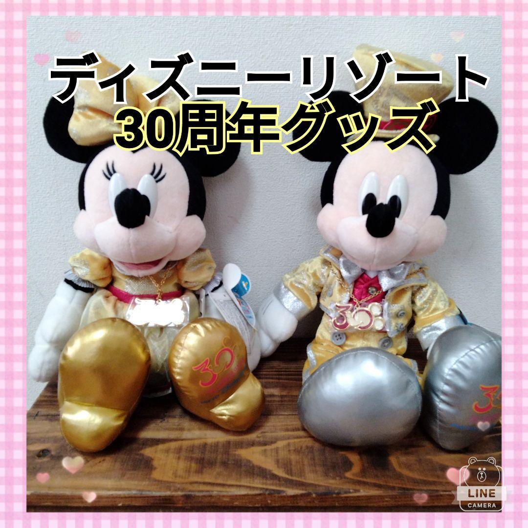 【レア】ディズニーリゾート30周年記念　ぬいぐるみ　ミッキー　ミニー　大きい