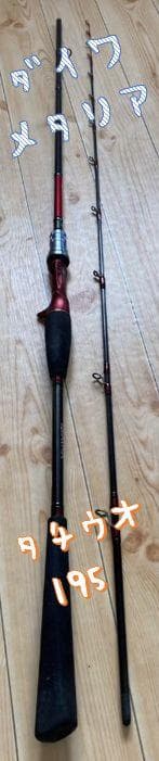 ダイワ　メタリア　タチウオ　太刀魚　195　アナリスター　極鋭　テンヤ　シマノ