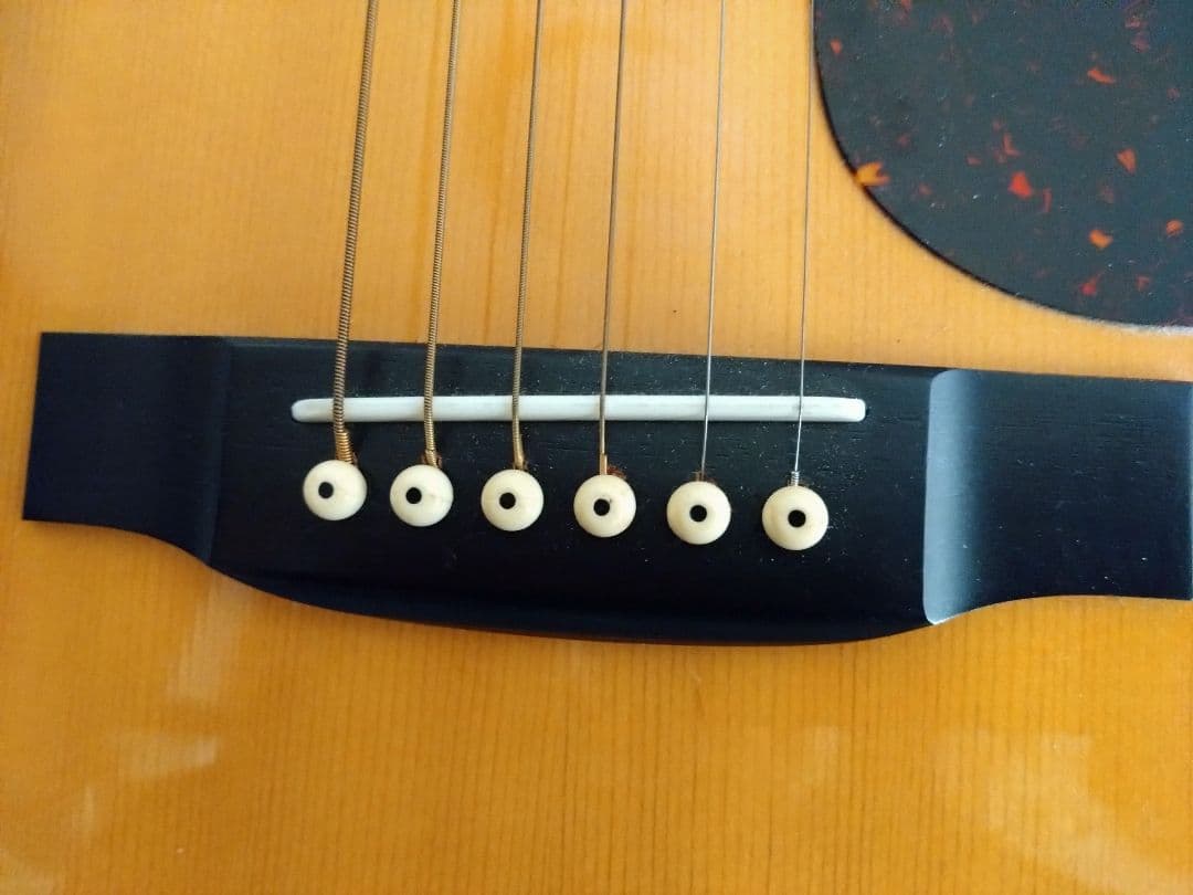 Cat's Eyes アコースティックギター サンバースト