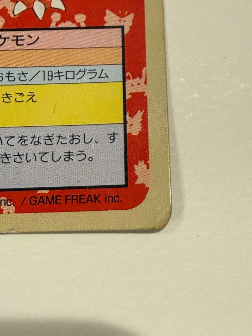 トップサン リザードン＆リザード 裏緑