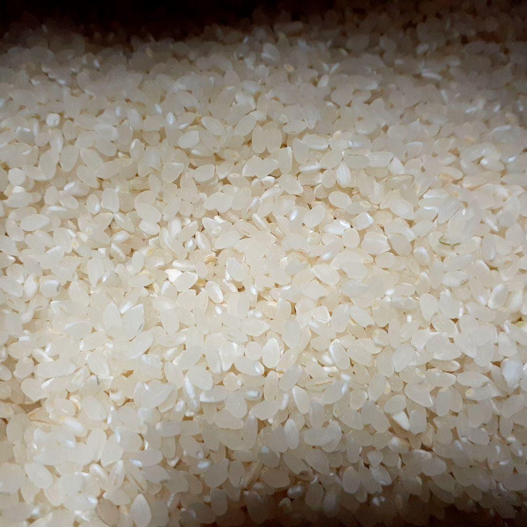 白米 ひとめぼれ　12キロ