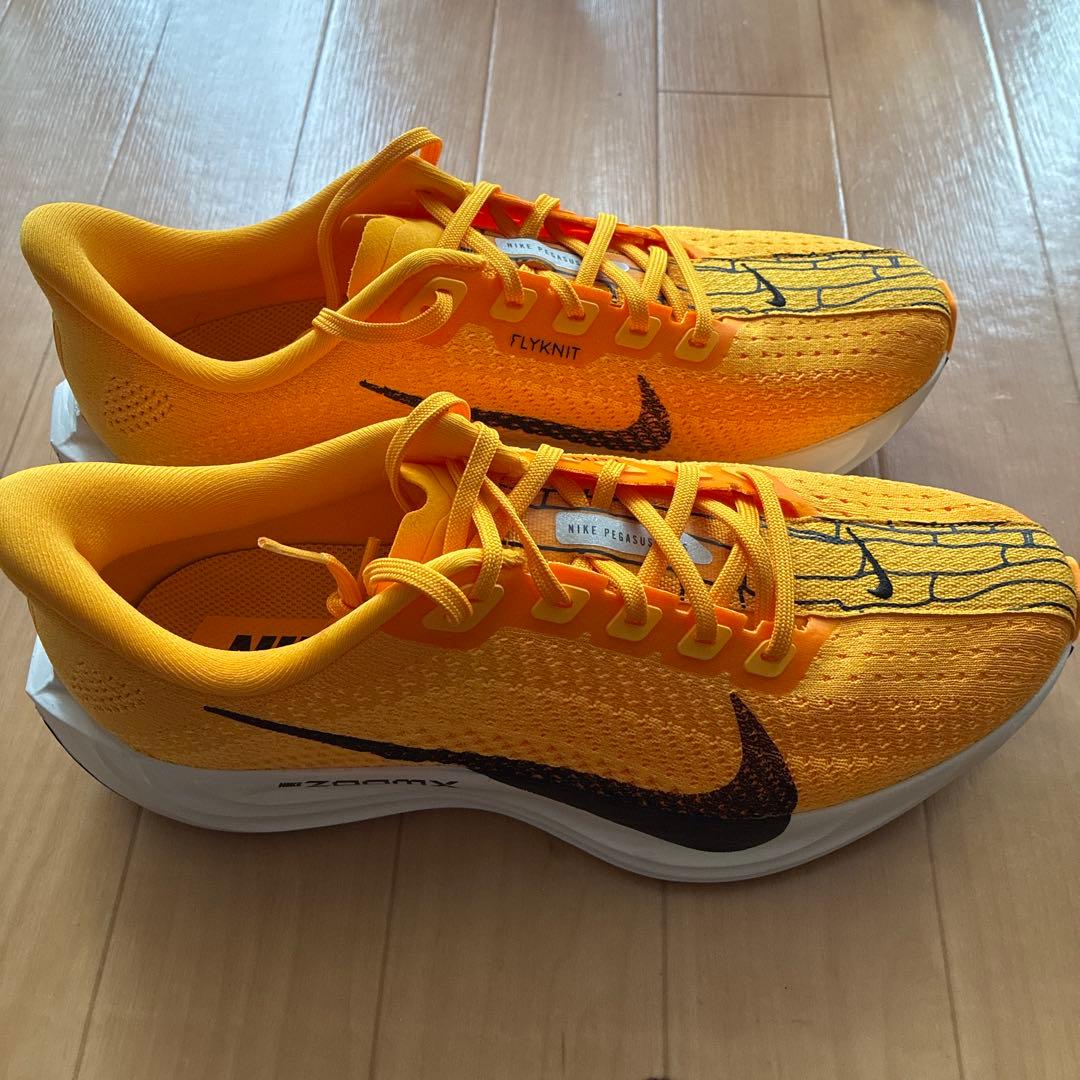 【25.5cm】NIKE ペガサス プラス 美品 ランニング・通勤用