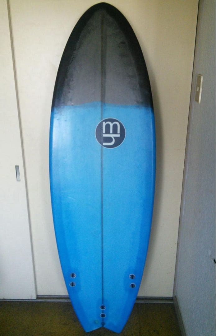 フィッシュボード　ツインフィン