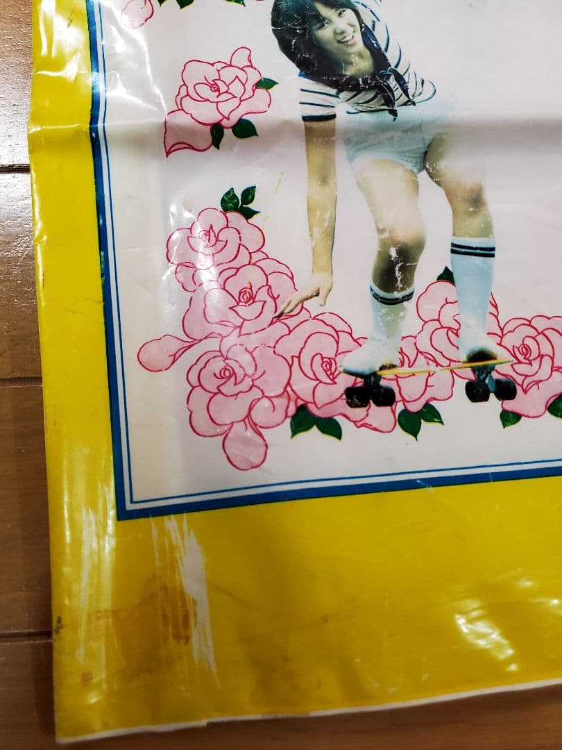 ピンク・レディー 昭和アイドル 写真 ビニールバック