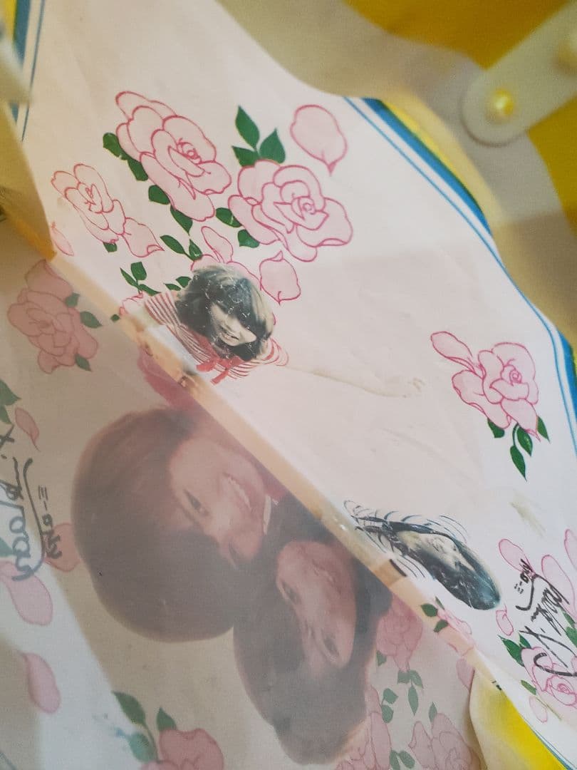 ピンク・レディー 昭和アイドル 写真 ビニールバック