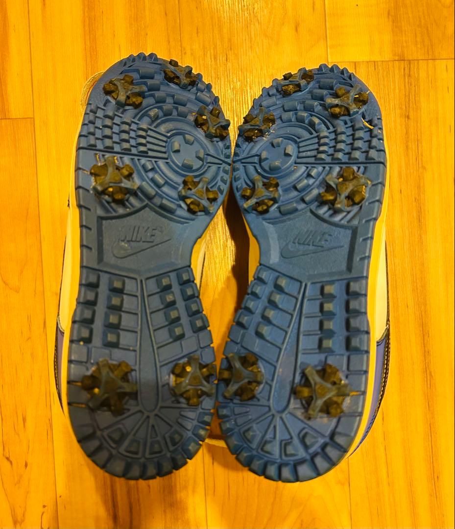 【本日限定】NIKE Dunk GOLF ゴルフシューズ　26.5