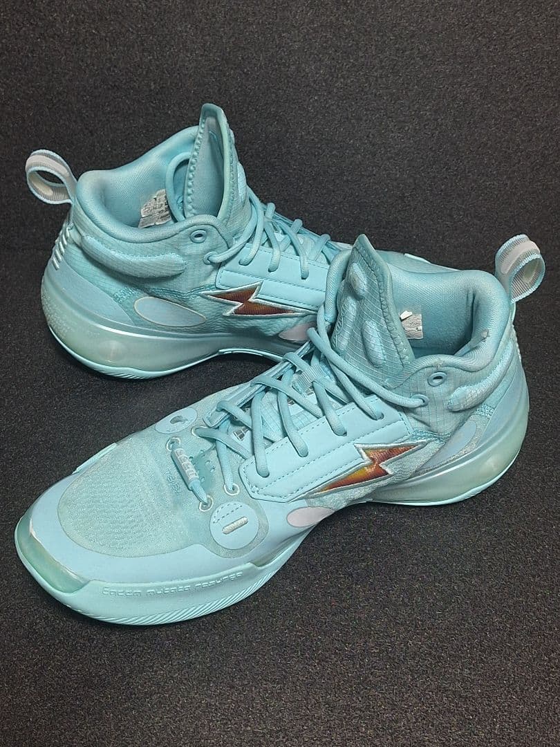 リーニン wayofwaed10 26.5箱あり