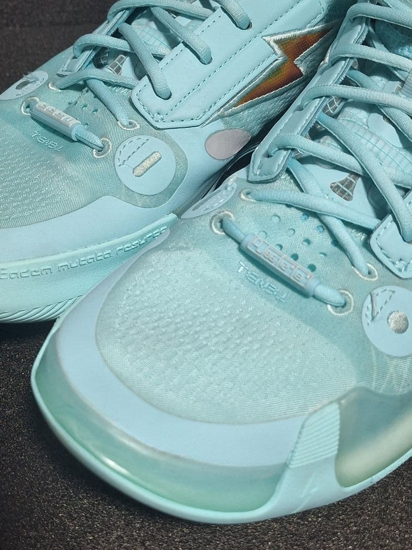 リーニン wayofwaed10 26.5箱あり