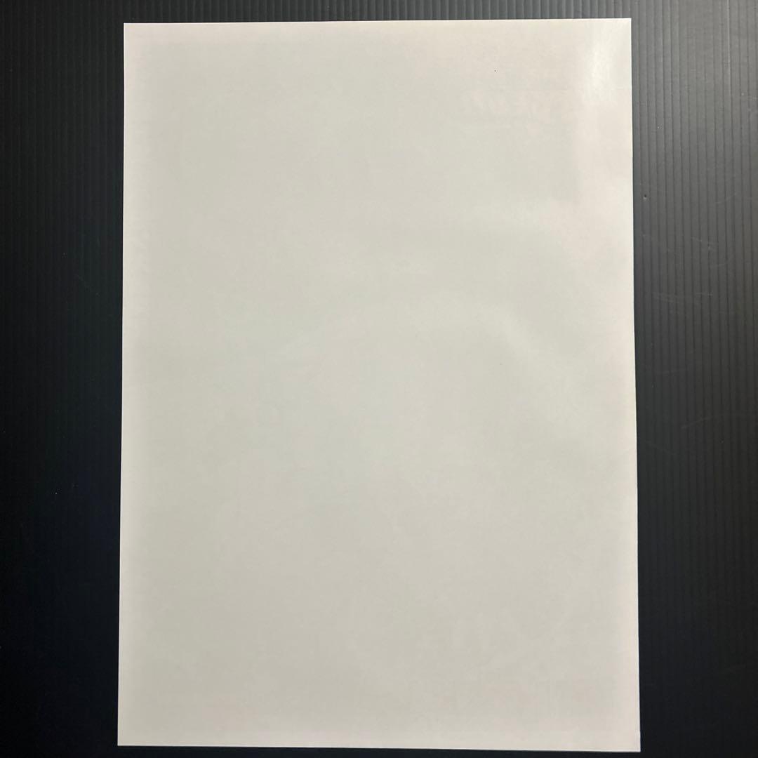 ポケモンカードゲーム LEGEND ポスター 頂上大激突 拡張パック A4サイズ