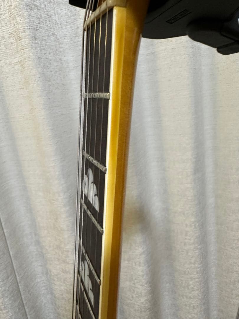 あ*様 Fernandes BURNY MG-80X （MG-120X）BLK