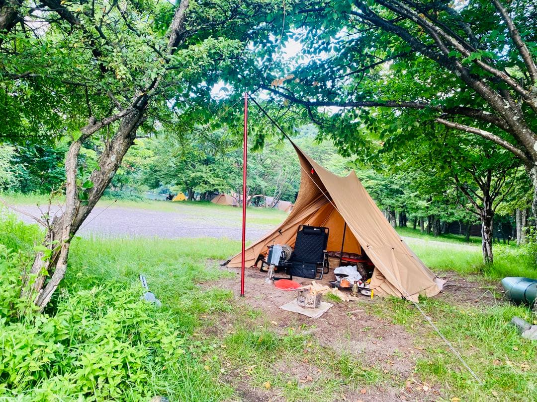 パンダtc+ シルスtc セット販売