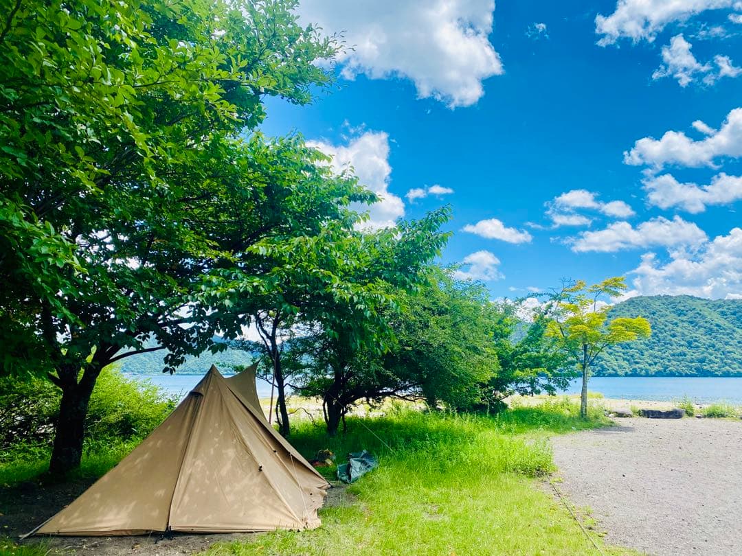 パンダtc+ シルスtc セット販売