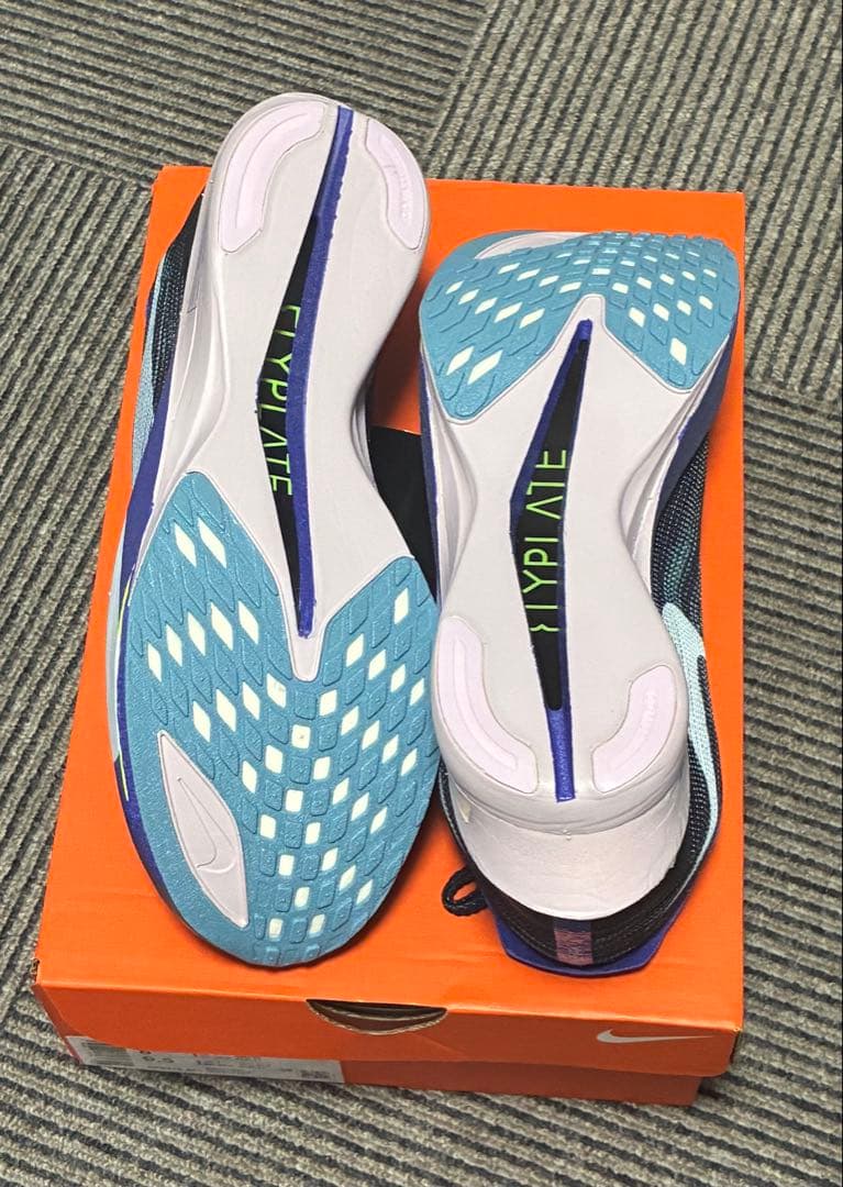 NIKE ストリークフライ2 26.0cm 新品