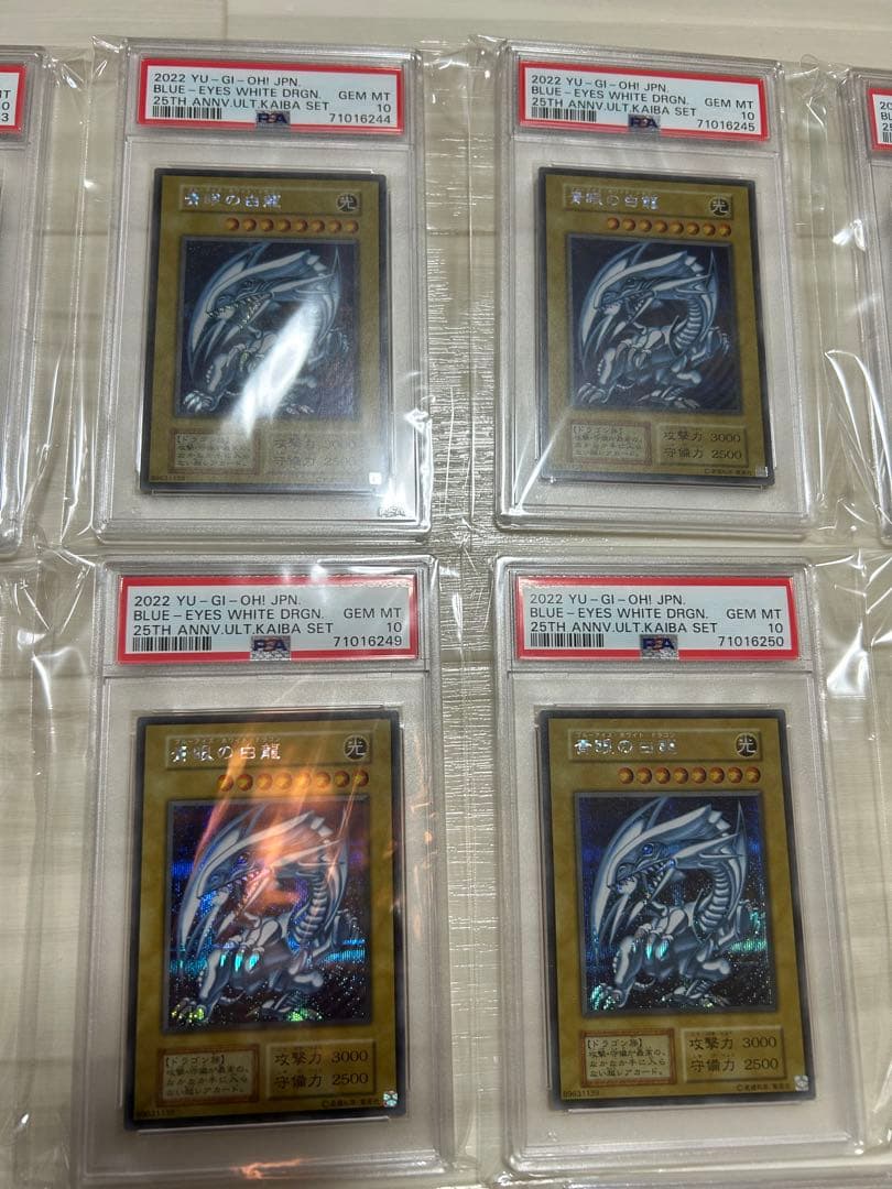 遊戯王　シクブル psa10 青眼の白龍　完美品　20連番　最安値