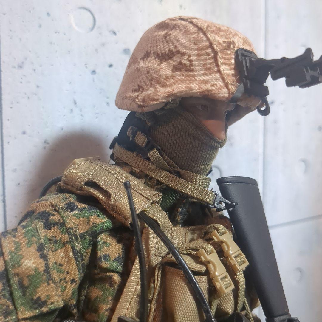 1/6 12インチ アメリカ軍 USMC カスタムフィギュア CS110