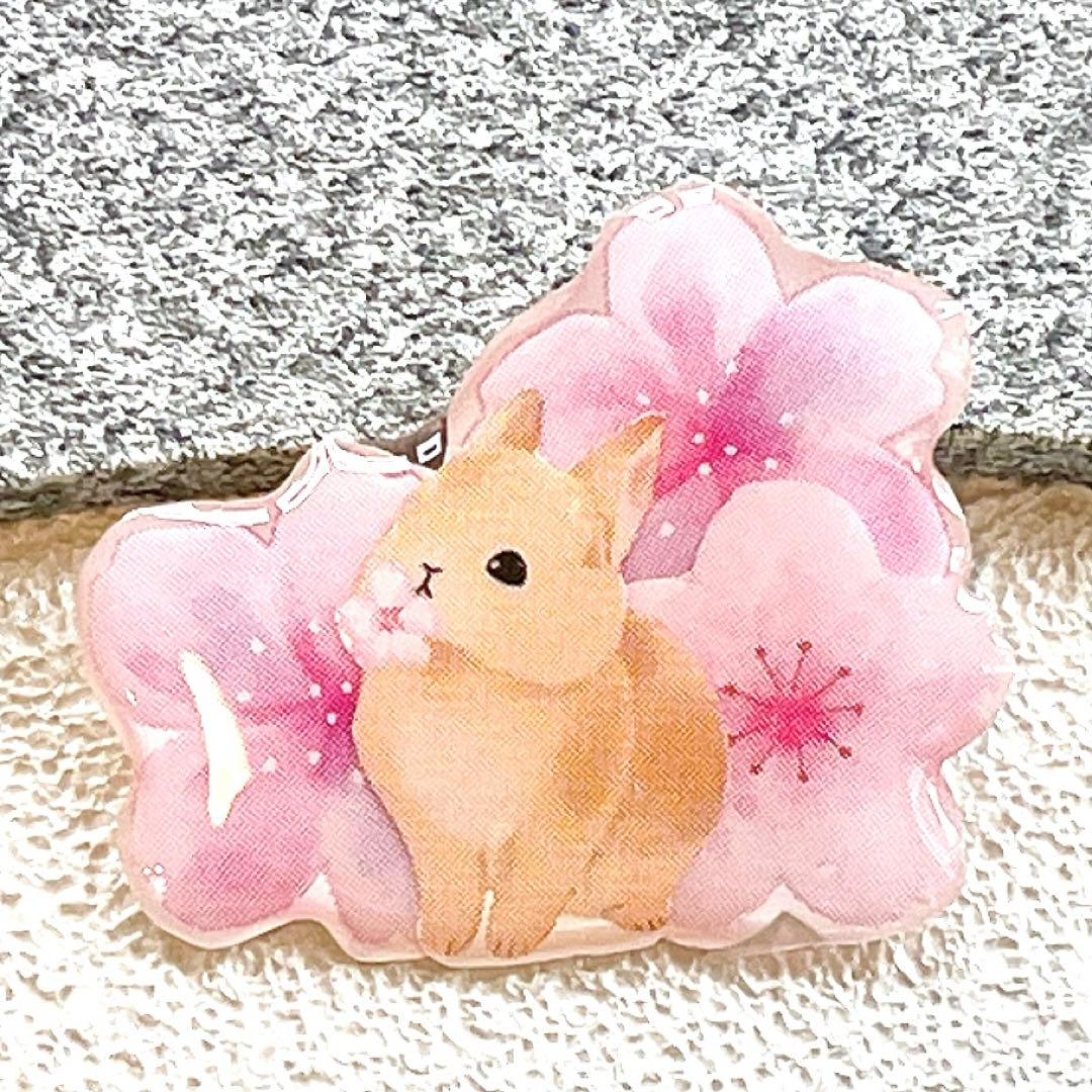うさぎ　ネザーランドドワーフ　ミニうさぎ　ピンバッジ　桜　ブローチ　チャーム