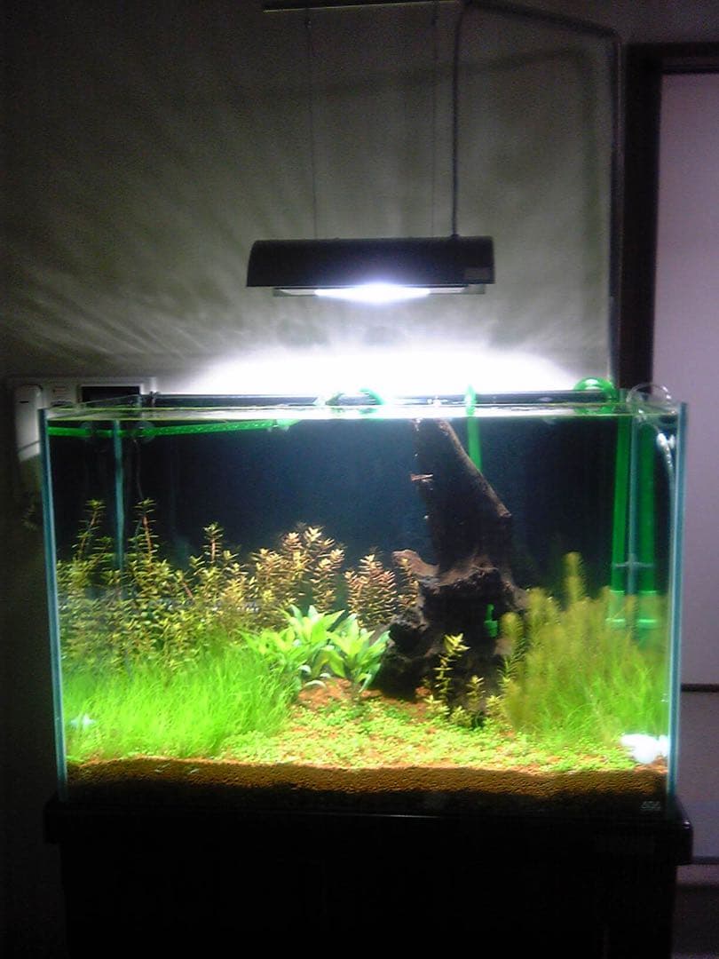 ADA メタハラ150W 照明 HYLUX安定 点灯確認済 吊り下げ スタンド別