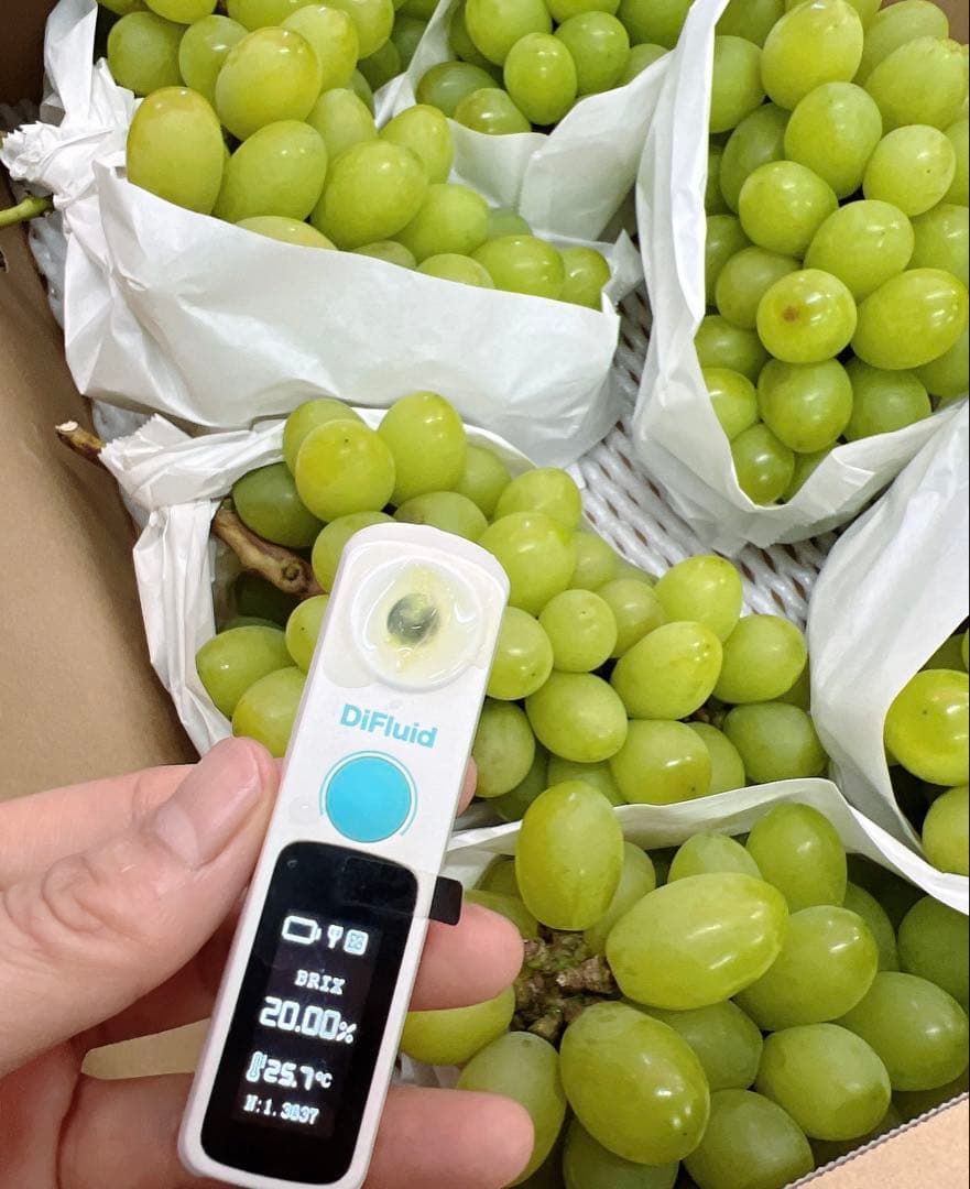 希少品種　ジュエルマスカット　甘い秀品　種無しぶどう