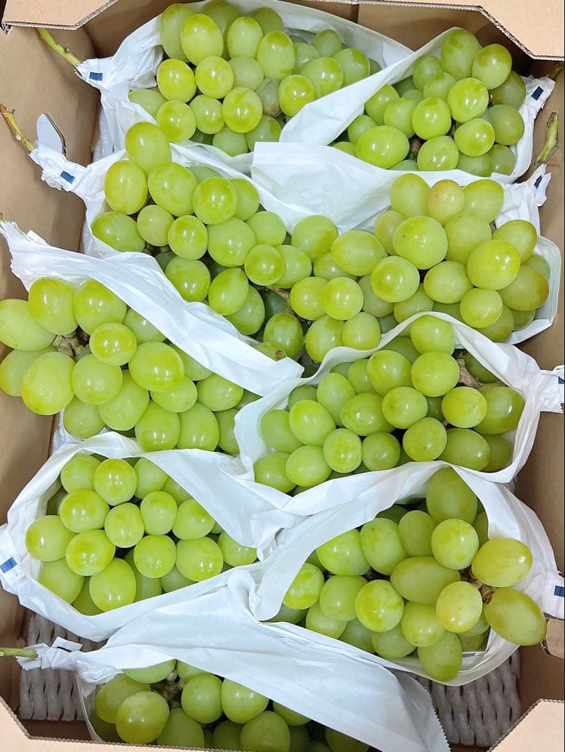 希少品種　ジュエルマスカット　甘い秀品　種無しぶどう