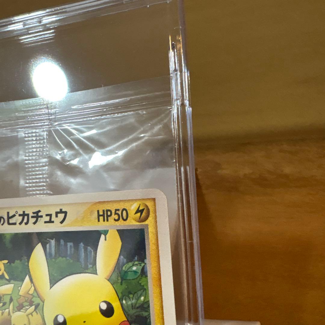 ポケパークのピカチュウ　プロモカード未開封
