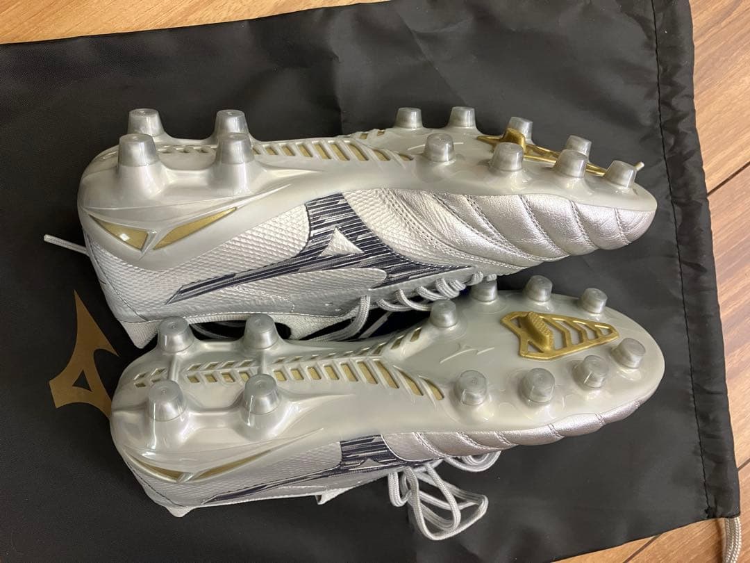 5*1様 モレリアネオ4 β 24.5cm