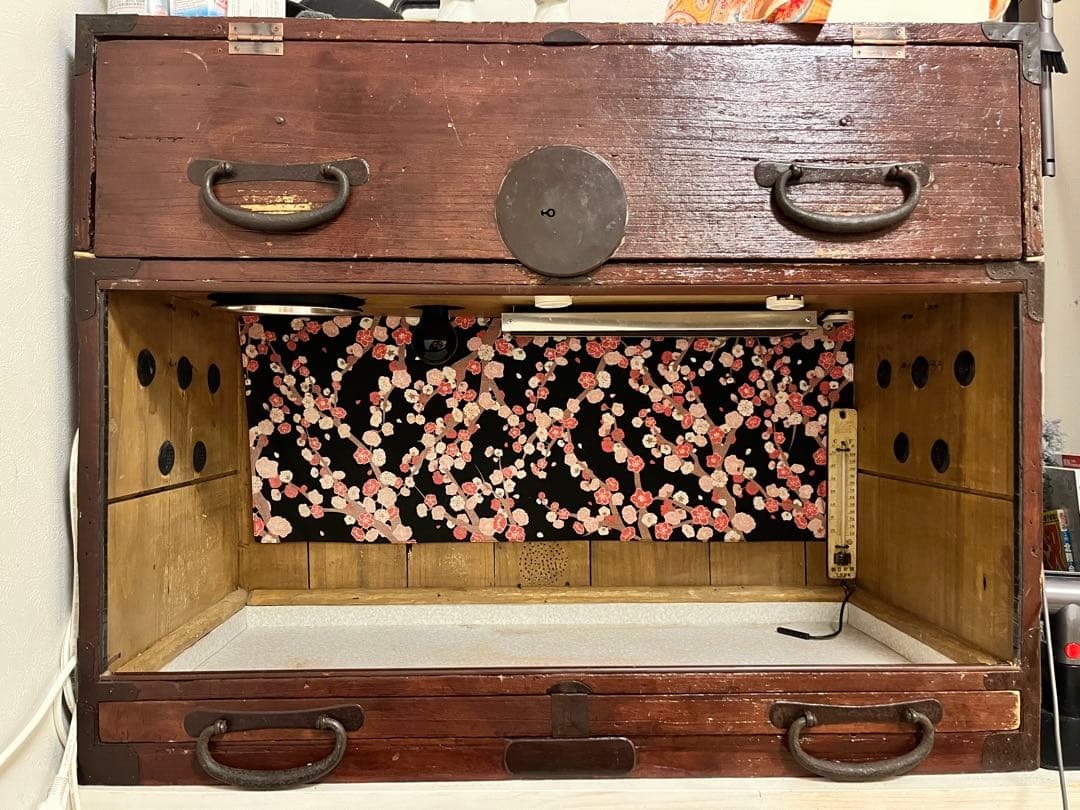 フトアゴ飼育ケージセット