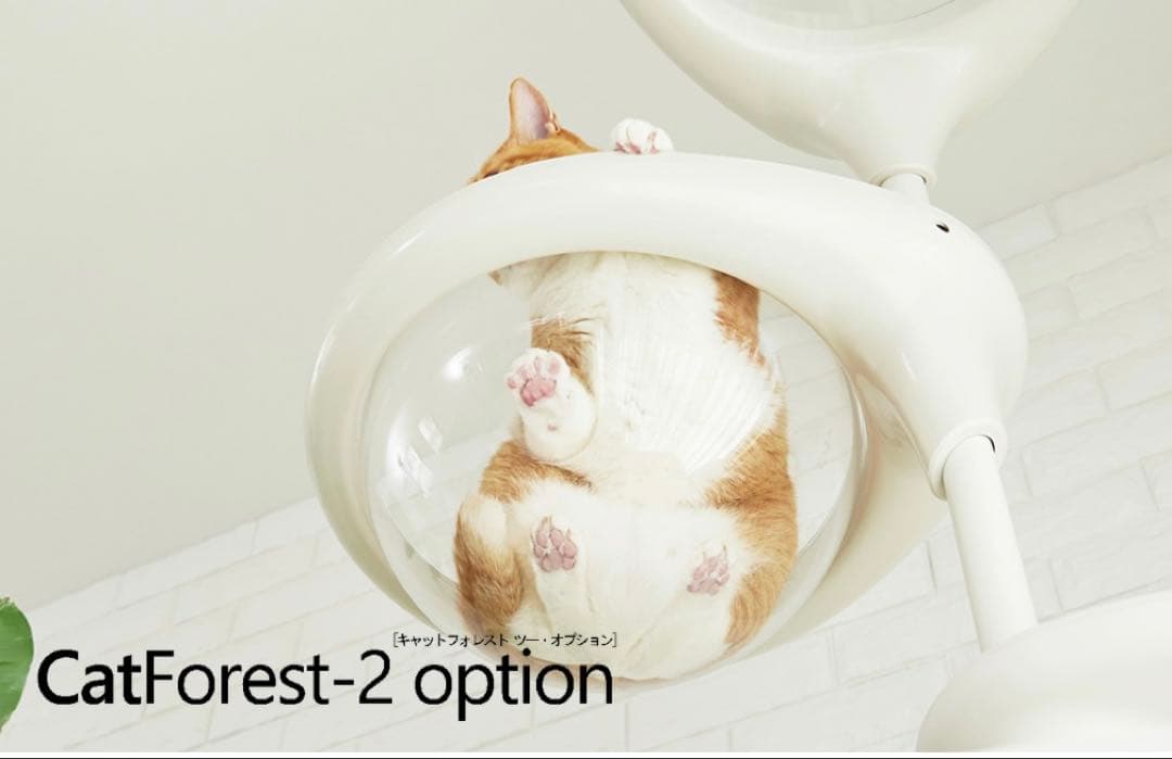 OPPO オッポ キャットフォレストオプション　クリアボウル　ブラック